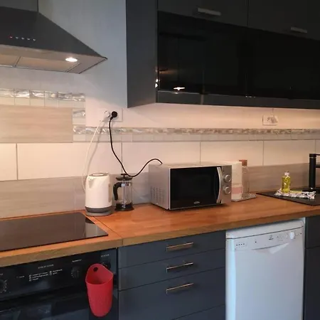L'Escale - Appartement Spacieux Au Calme Brest Extérieur photo